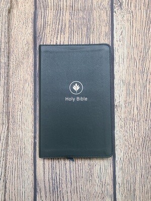 KJV Study Bible - Thumb Indexed - Evergreen Fog Imitation Leather