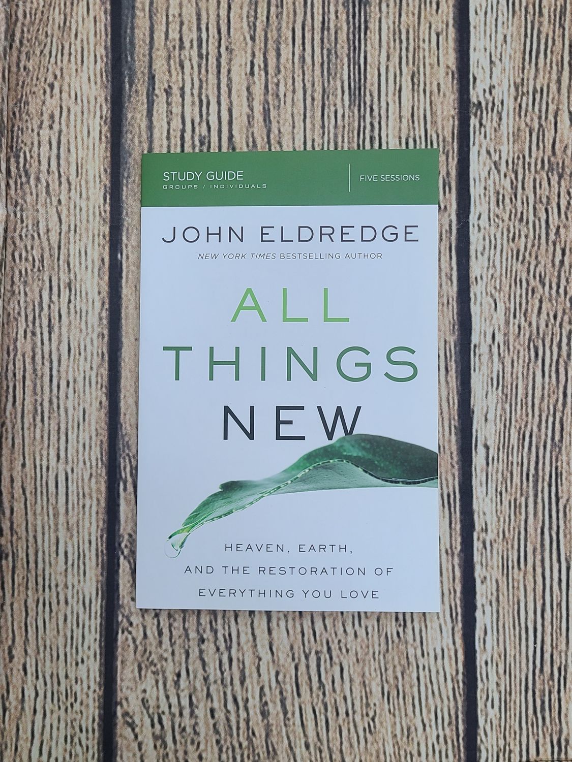 All Things New: Heaven, Earth, and The Restoration of Everything You Love Study Guide by John Eldredge - Paperback - New