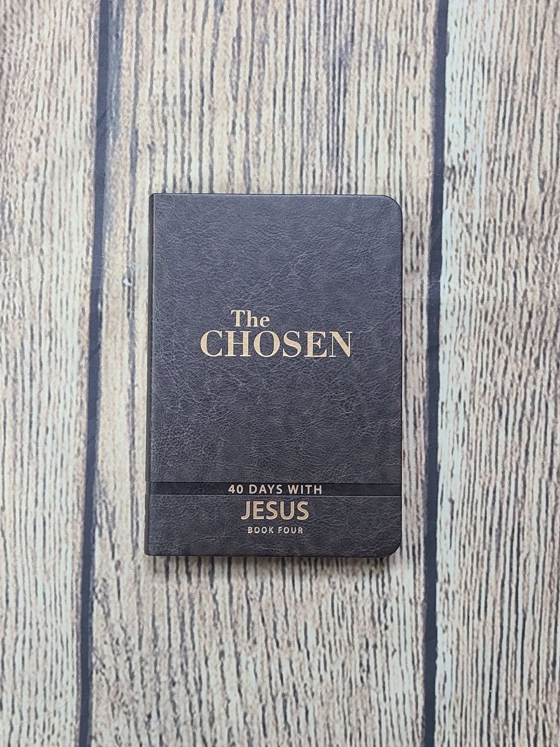 The Chosen - Book 4: 40 Days with Jesus by Amanda Jenkins, Dallas Jenkins, and Kristen Hendricks