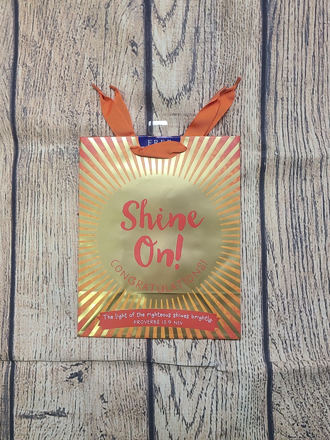 Shine On Medium Gift Bag