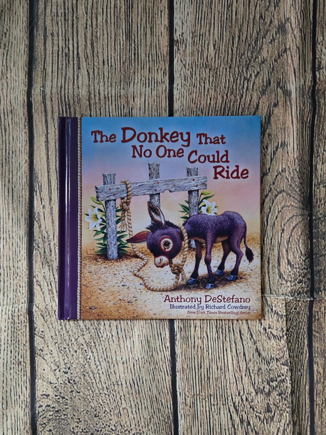 The Donkey that No One Could Ride by Anthony DeStefano