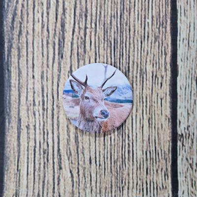Deer Car Coaster