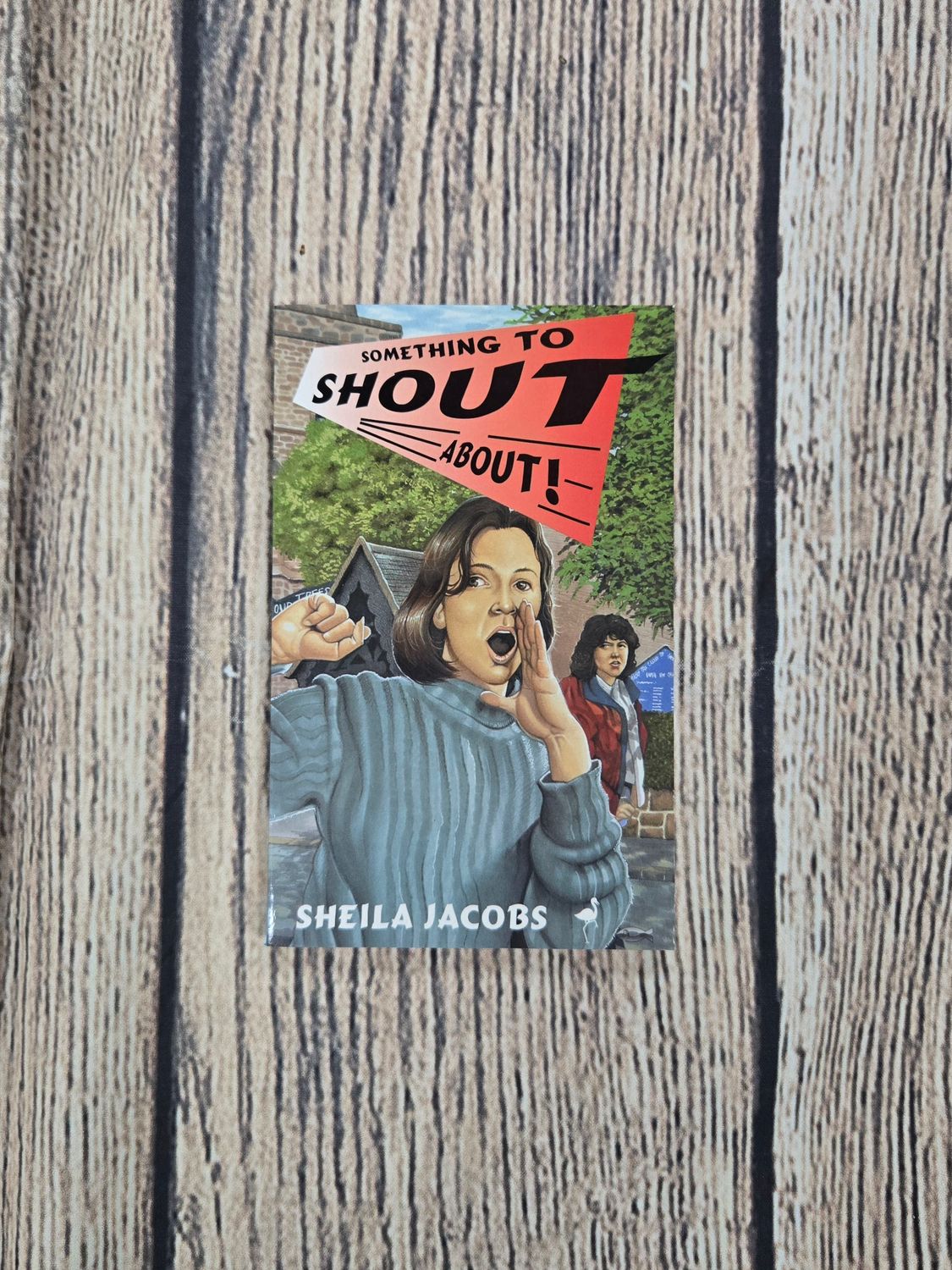 Something to Shout About by Sheila Jacobs