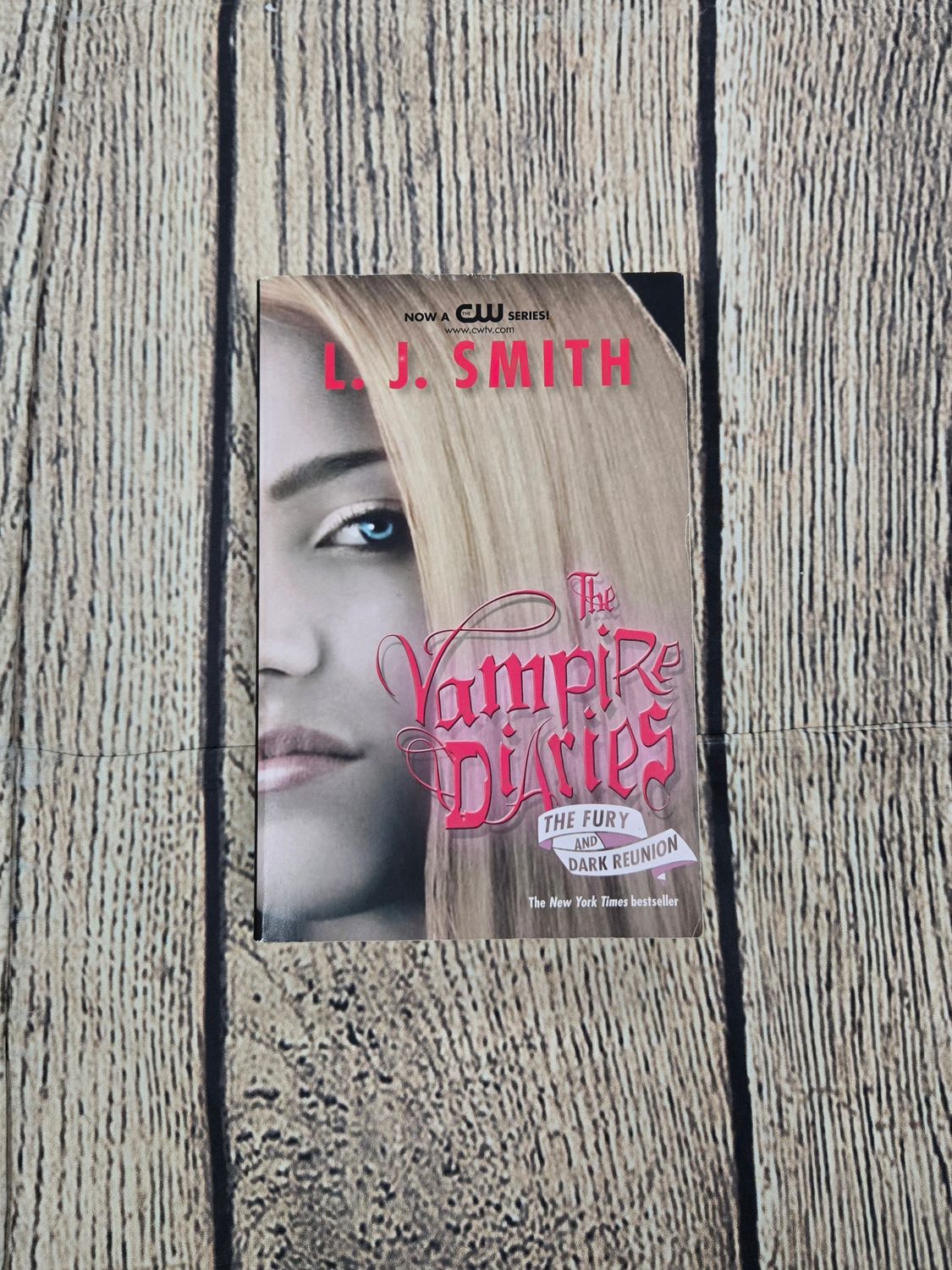 The Vampire Diaries: The Fury and Dark Reunion by L.J. Smith