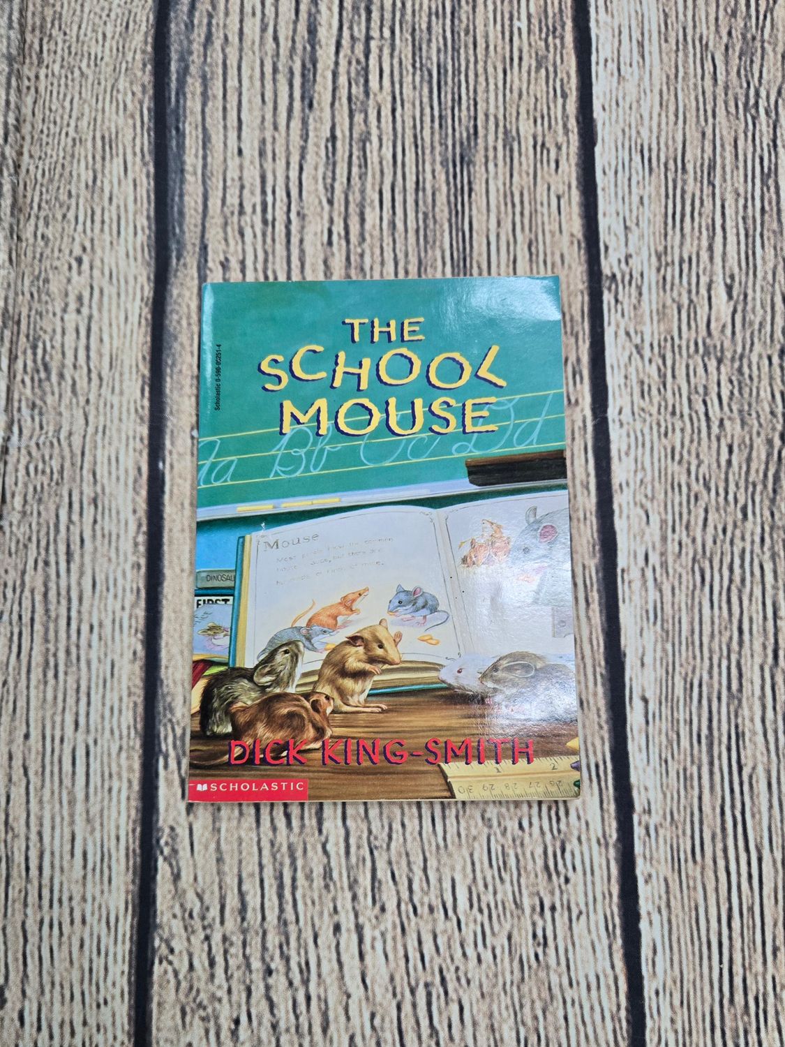 The School Mouse by Dick King-Smith