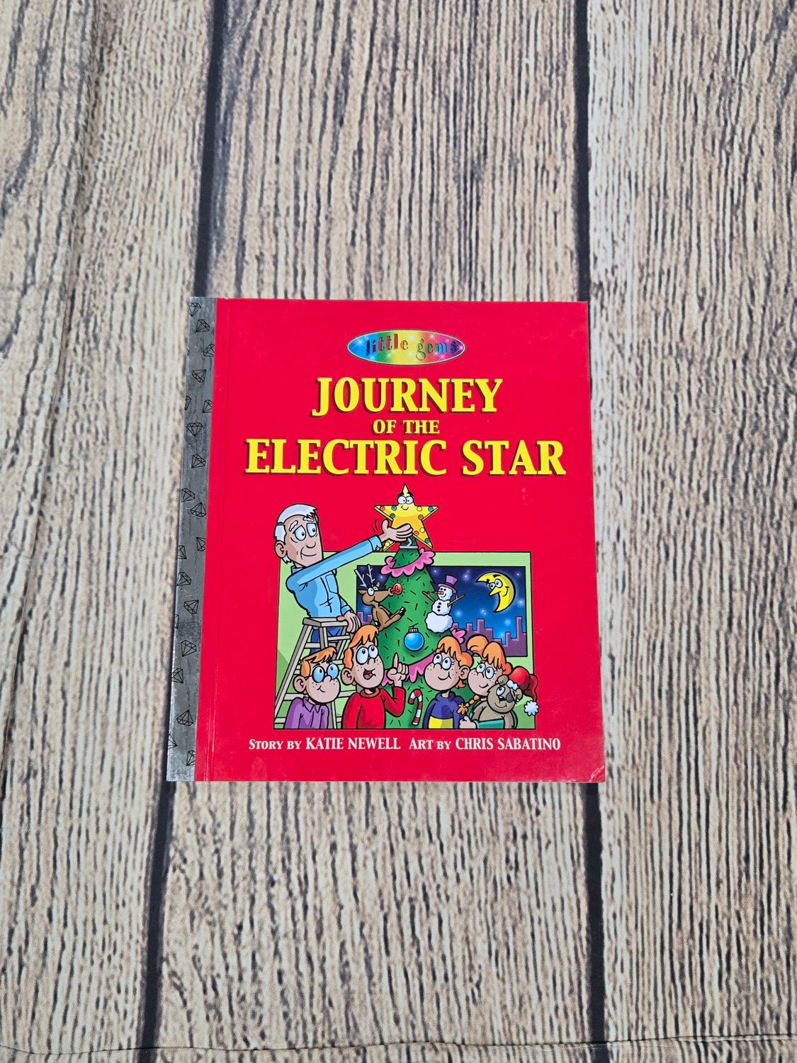 Journey of the Electric Star by Katie Newell and Chris Sabatino