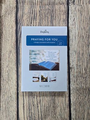 Dayspring Praying For You Peaceful Landscapes Boxed Cards