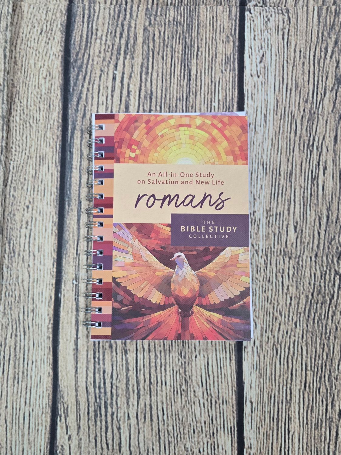 Romans: An All-in-One Study on Salvation and New Life by Barbour Publishing