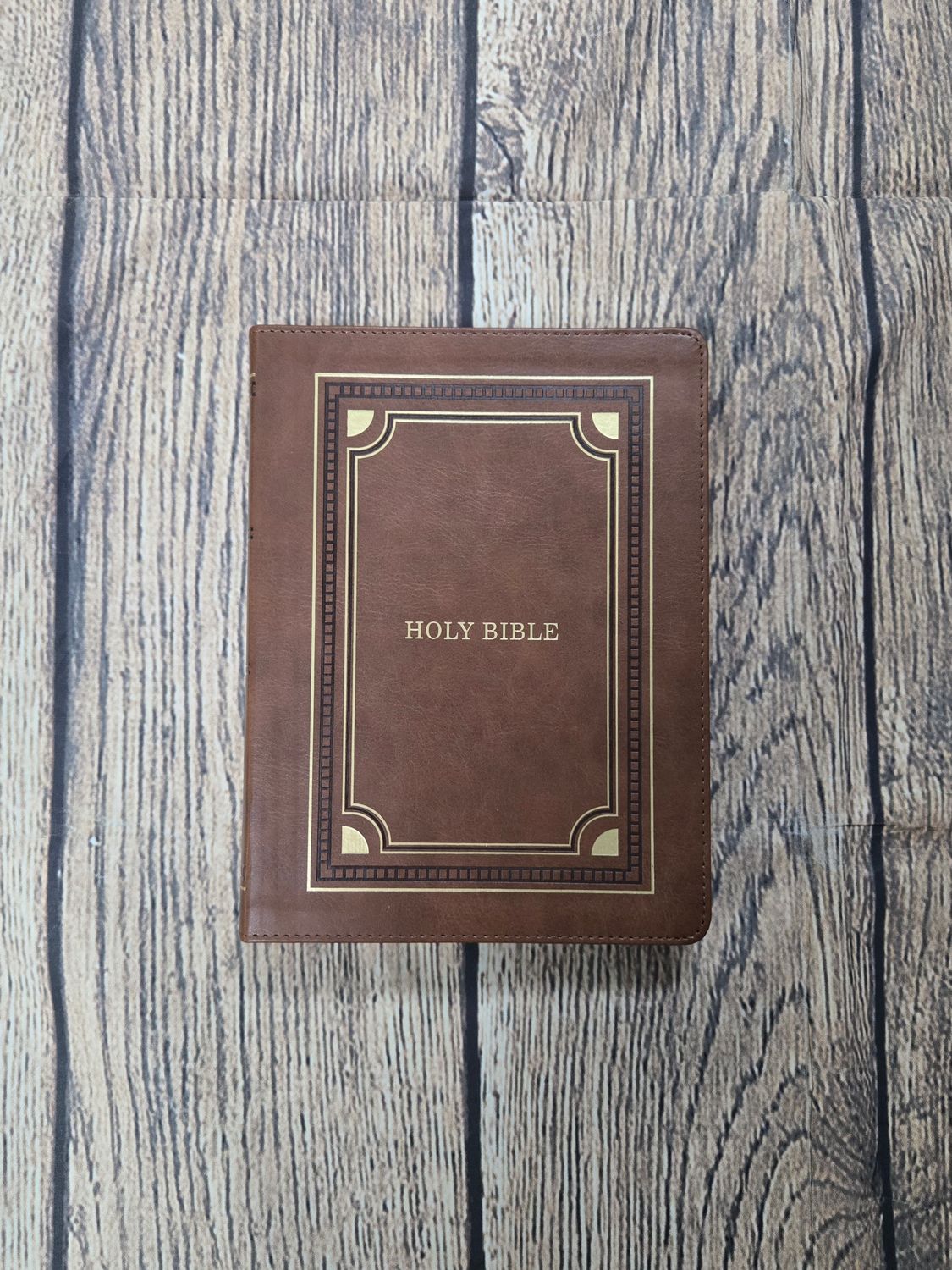 KJV Holy Bible: Highlighting God&#39;s Promises to You - Gold and Camel