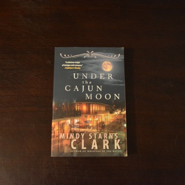 Under the Cajun Moon by Mindy Starns Clark