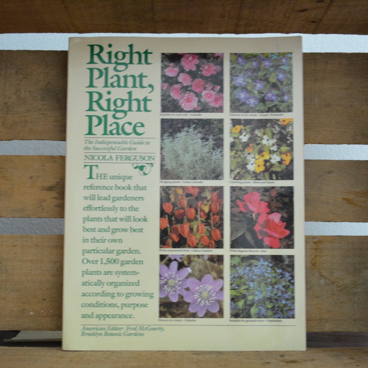 Right Plant Right Place by Nicola Ferguson
