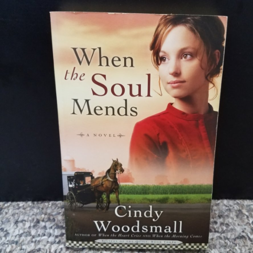 When the Soul Mends by Cindy Woodsmall