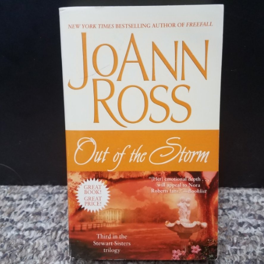 Out of the Storm by JoAnn Ross