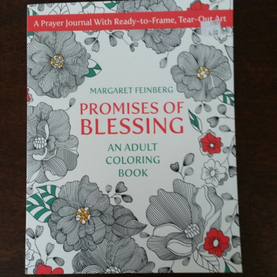 Promises Of Blessing Coloring Book