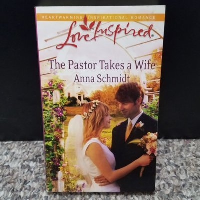 The Pastor Takes a Wife by Anna Schmidt
