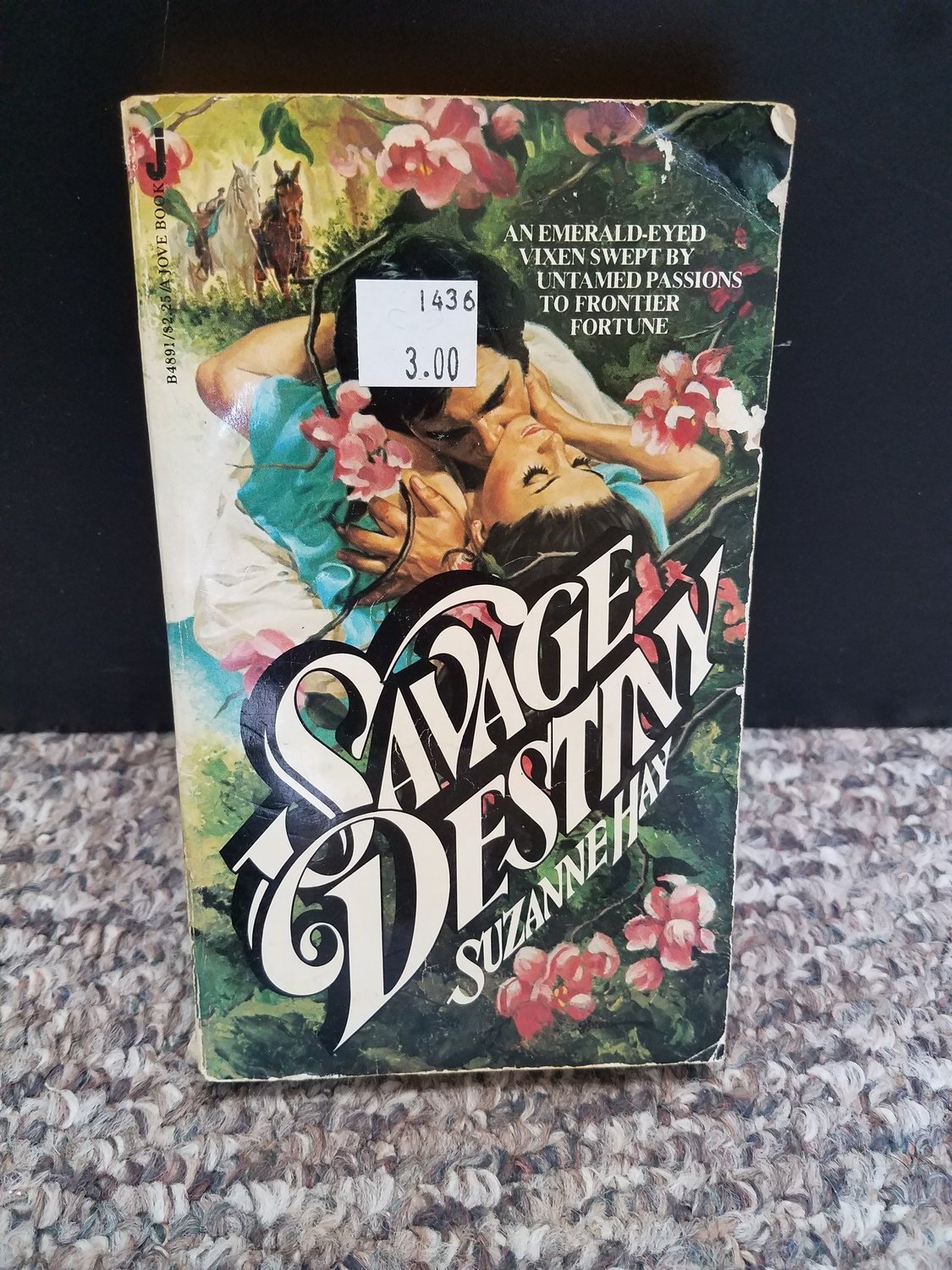 Savage Destiny by Suzanne Hay