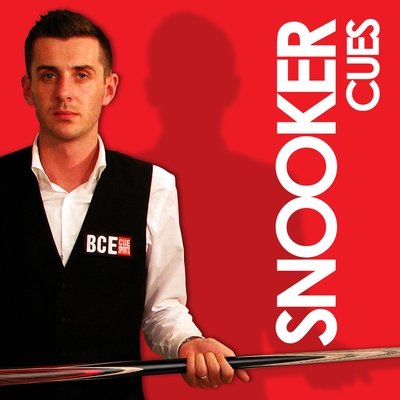 Snooker Cues