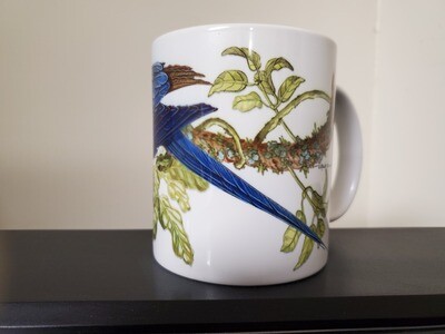 Blue and Gold Macaw  - Ceramic Mug
