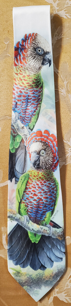Hawk-headed parrot - Neckties