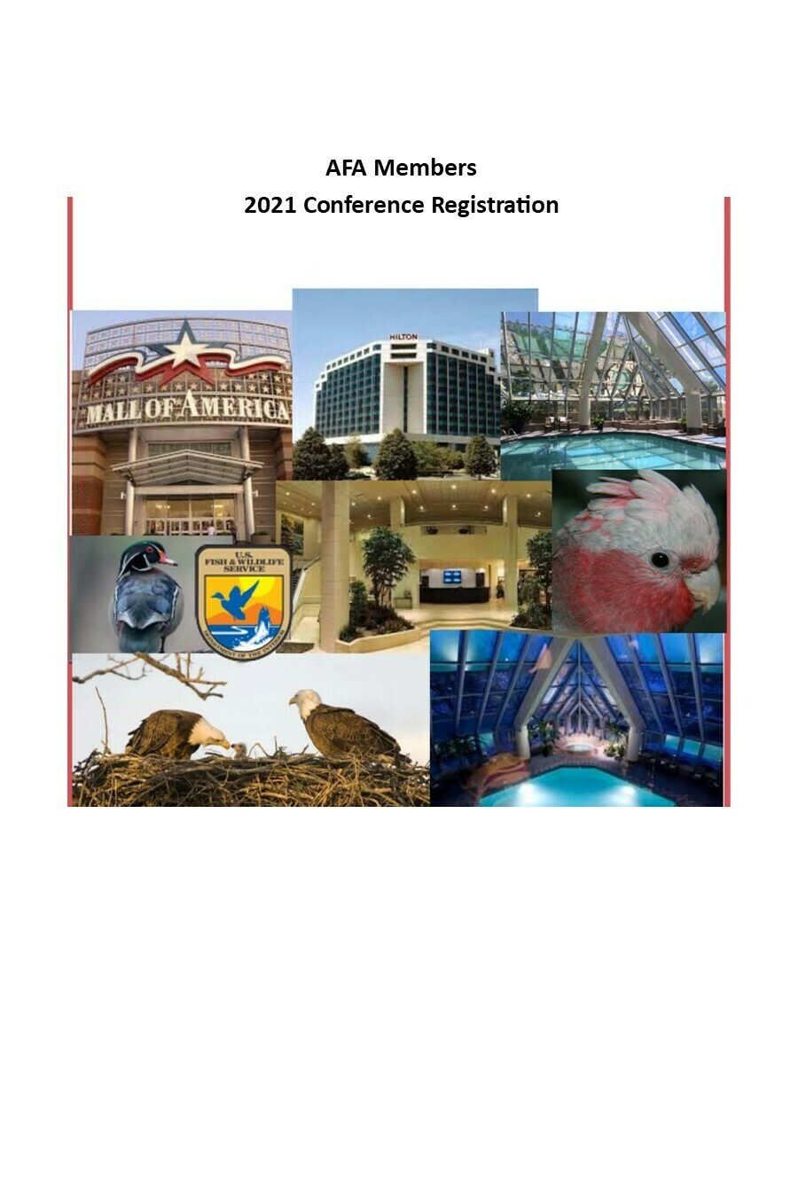 AFA Members: 3 Day Full Conference Registration AFA Members: 3 Day Full Conference Registration