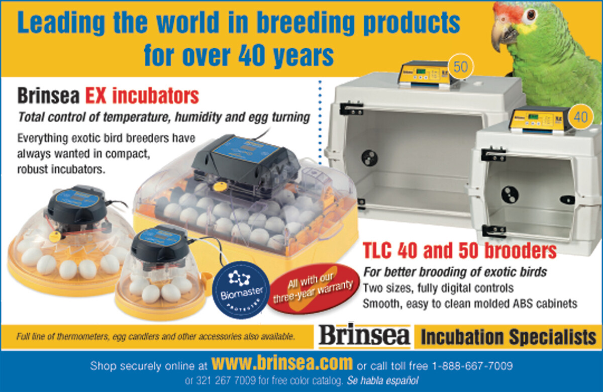 Super 8 Raffle Ticket
Prize #5 Brinsea Brooder Super 8 Raffle Ticket
Prize #5 Brinsea Brooder