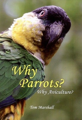 Why Parrots? Why Aviculture? by Tom Marshall