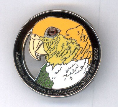 CITES Pin #36- White-bellied Caique (2022 Issue)