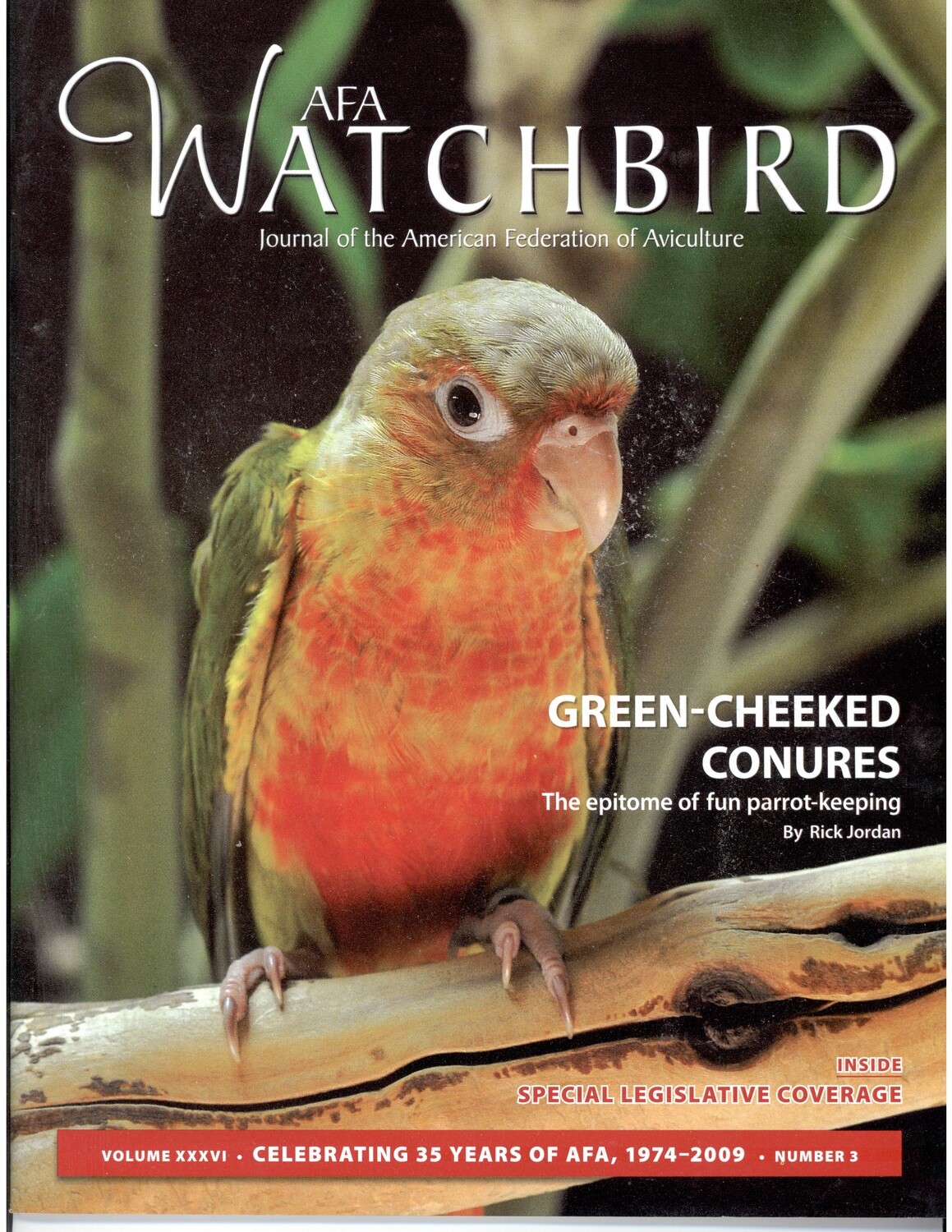 Copies of AFA Watchbird Magazines