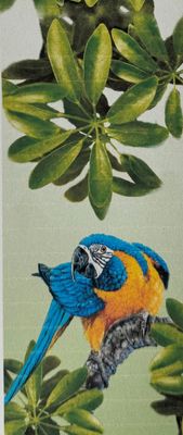 Blue-throated Macaw 2024 Scarf (Woman's)