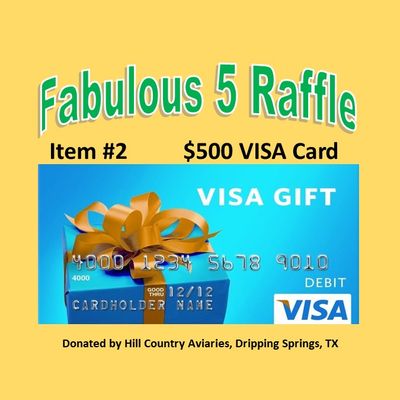 Fabulous 5 Raffle Ticket Prize #2 $500 Visa Card