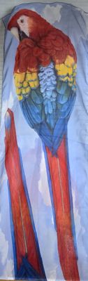 Scarlet Macaw 2025 Scarf (Woman's)