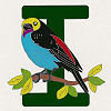 #20 Paradise Tanager - CITES Pins