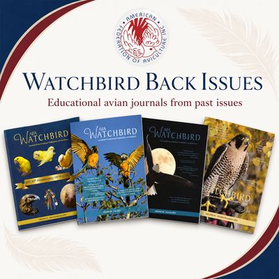 AFA Watchbird Journal Back Issues