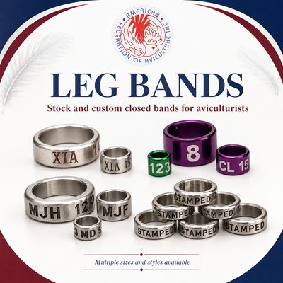 Leg Bands