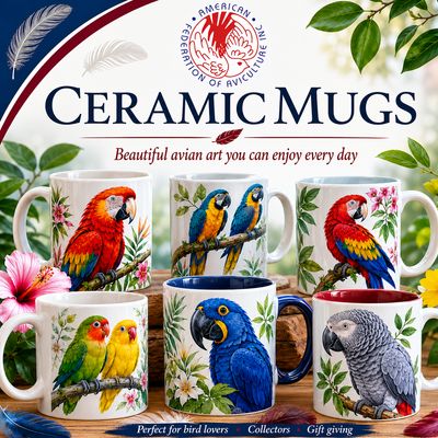 Ceramic Mugs