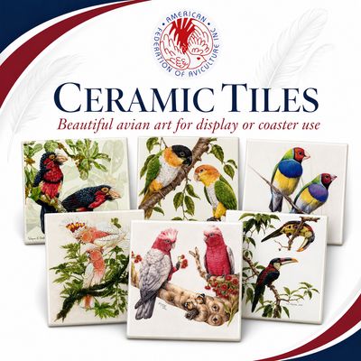 Ceramic Tiles