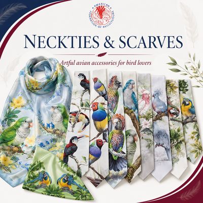 Neckties & Scarves
