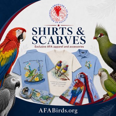 Shirts and Scarves