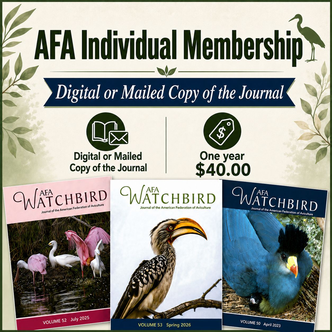 Membership Individual (New or Renewal)