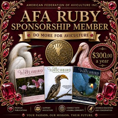 Ruby Supporting Membership Ruby Supporting Membership