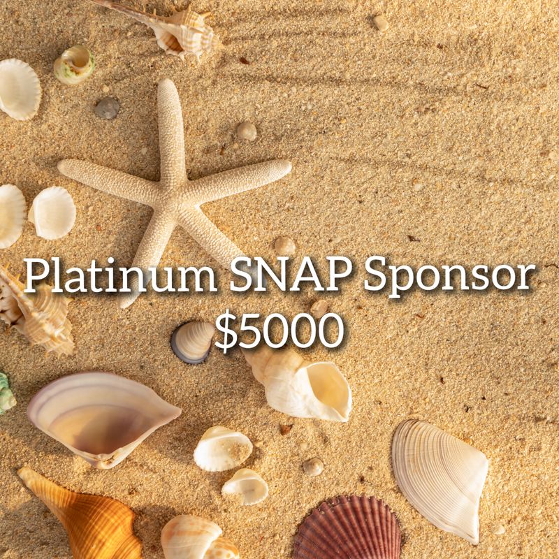 SNAP Platinum Sponsor