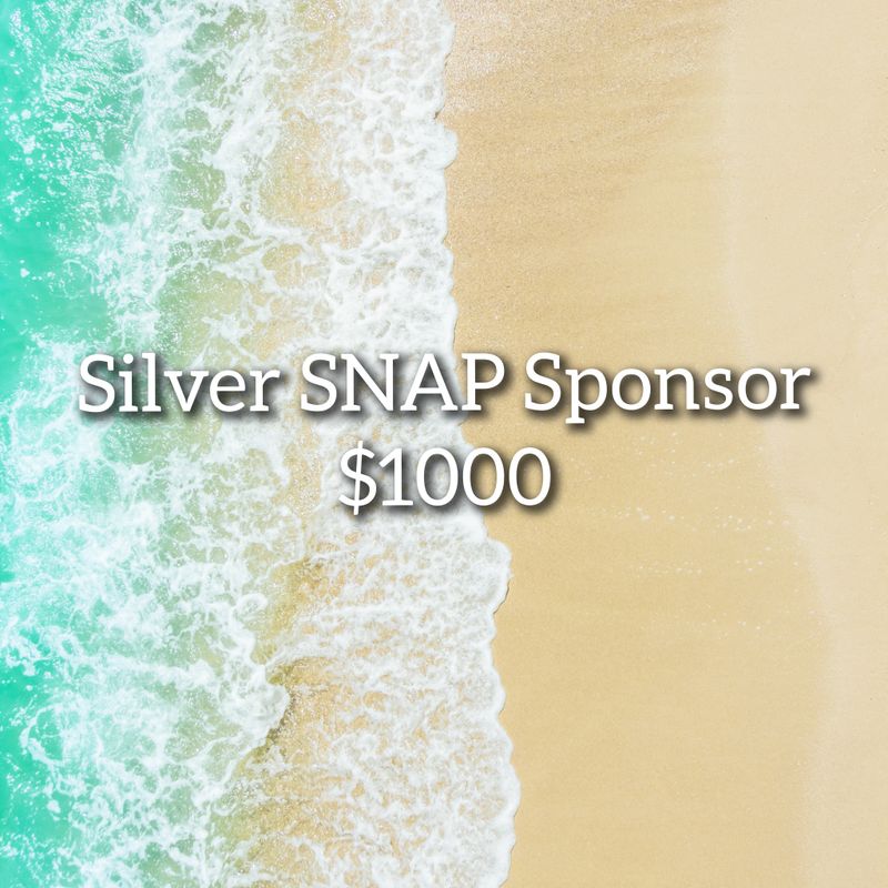Silver SNAP Sponsor