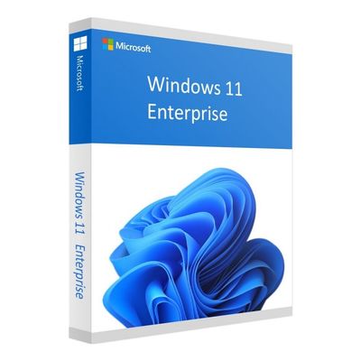 Microsoft Windows 11 Enterprise