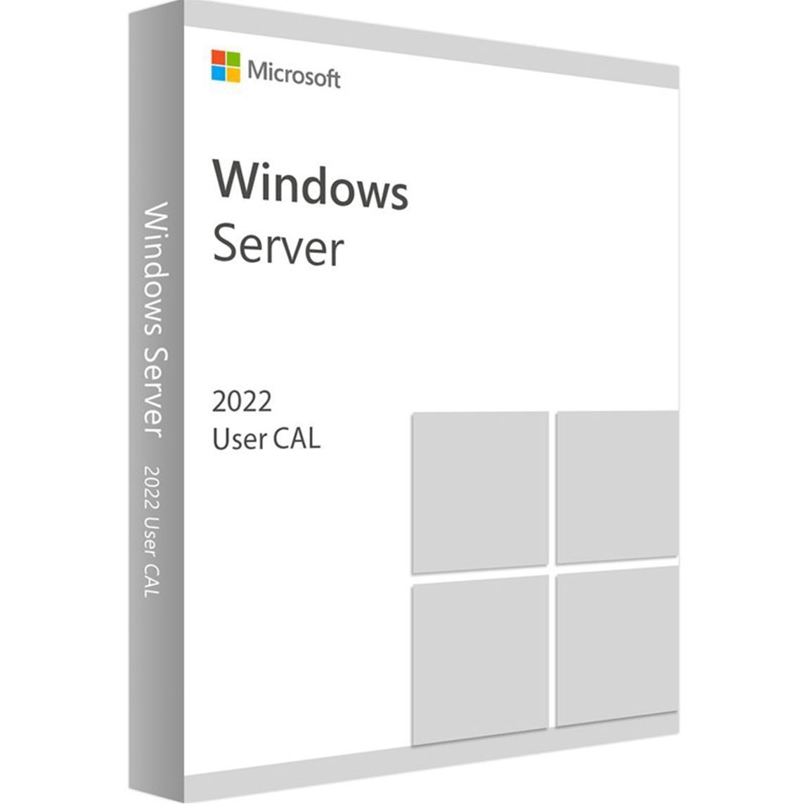 Windows Server 2022 Remote Desktop Services 1 User CAL DSP