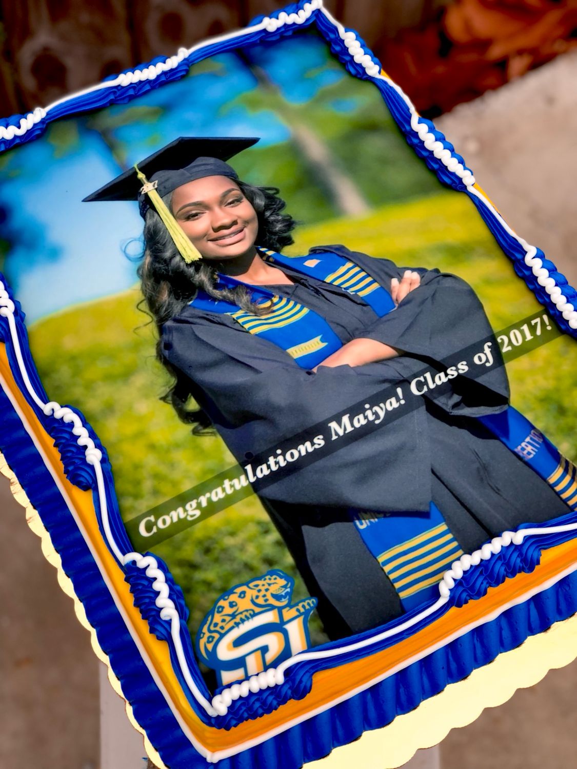 1/4 SHEET PHOTO CAKE &amp; 24 CUPCAKES