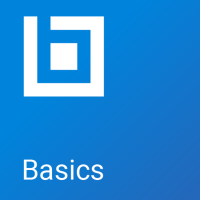 Basics (Revu21)