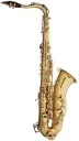 Saksofon Stagg WS-TS215S