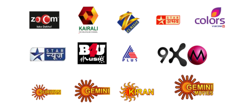 Hindi combo package per Year