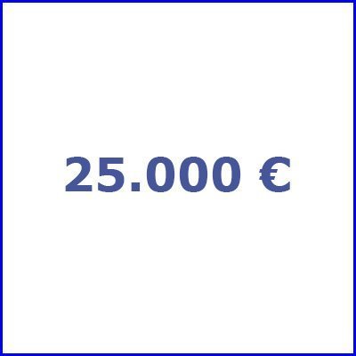 25.000 €