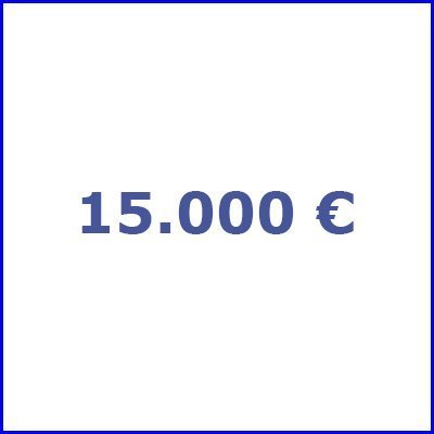 15.000 €